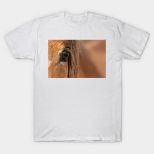 Horse Eye T-Shirt